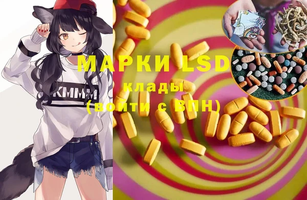 apvp Белокуриха