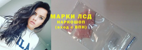 спиды Богородицк