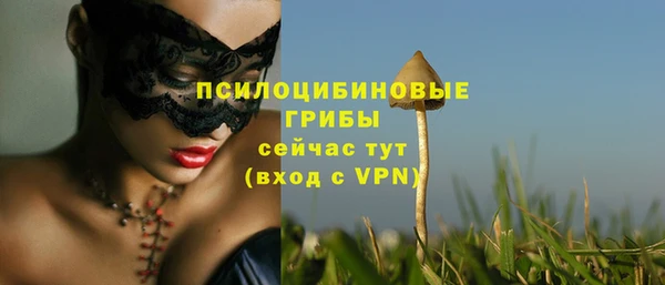 jwh Богородск