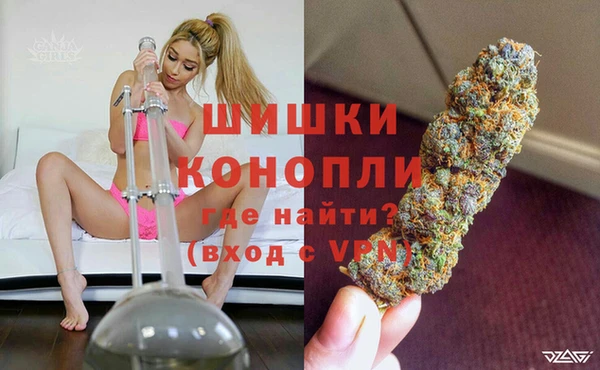 спиды Богородицк