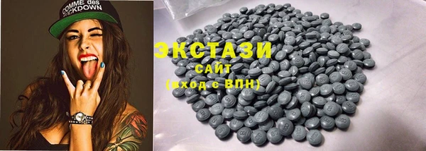 спиды Богородицк