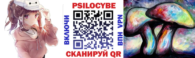 это телеграм  Киренск  Псилоцибиновые грибы Psilocybine cubensis 